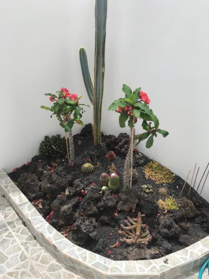 Apartamento Piscis Puerto del Carmen  Kültér fotó